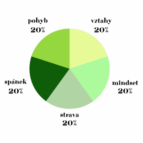 Audit 5 oblastí pohody - transparent